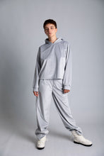 Load image into Gallery viewer, Sofi Velvet pants silver