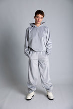 Load image into Gallery viewer, Sofi Velvet pants silver