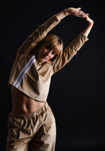 Load image into Gallery viewer, Velvet blouse
