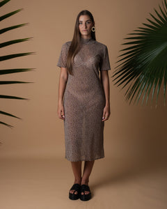 Transparent long dress