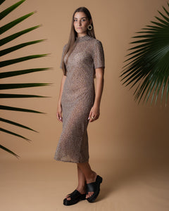 Transparent long dress