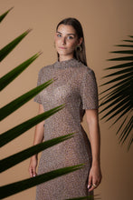 Load image into Gallery viewer, Transparent long dress
