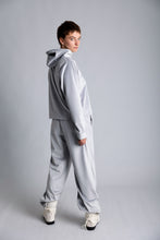 Load image into Gallery viewer, Silver hoodie in velvet
